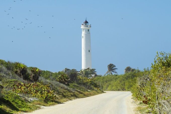 Cozumel: Off-road Adventure to Punta Sur and Clear Boat Ride - Clear Boat Ride Experience