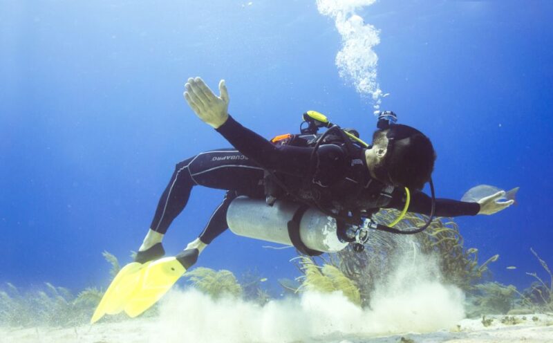 Cozumel: One Tank Scuba Dive and Full Chankanaab Park Access - Booking and Cancellation Policy