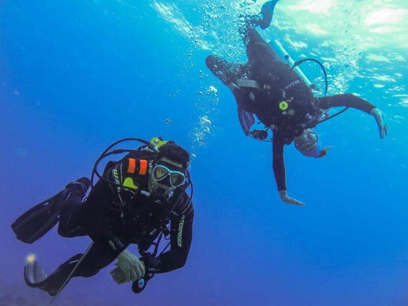 Cozumel: One Tank Scuba Dive and Full Chankanaab Park Access - Vibrant Marine Life and Underwater Structures