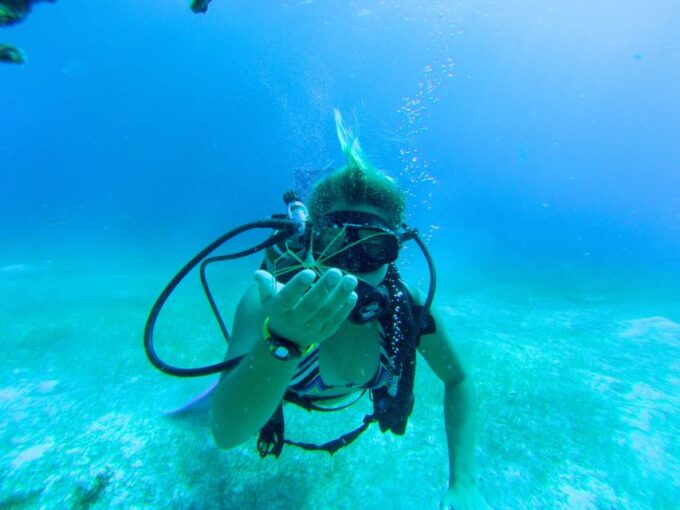 Cozumel: One Tank Scuba Dive and Full Chankanaab Park Access - Participant Guidelines and Restrictions