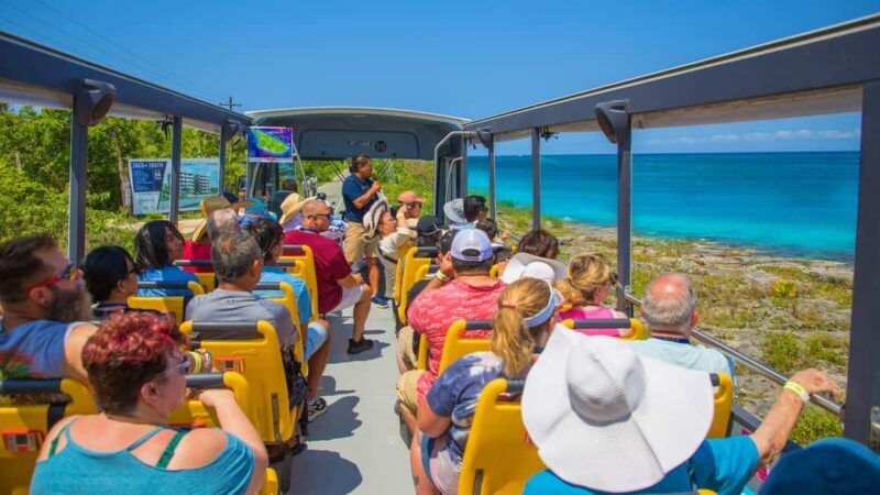 Cozumel: Open Top City Tour & Beach Break - Shopping and Local Artisans