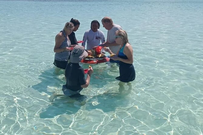 Cozumel Private 4-Hour Boat Tour to El Cielo With Snorkeling - Accessibility