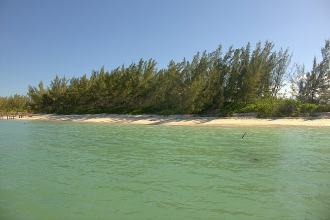 Cozumel Private 4-Hour Boat Tour to Passion Island - Health and Safety Guidelines