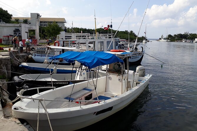 Cozumel Private 4-Hour Boat Tour to Passion Island - Customer Reviews: Afton_C