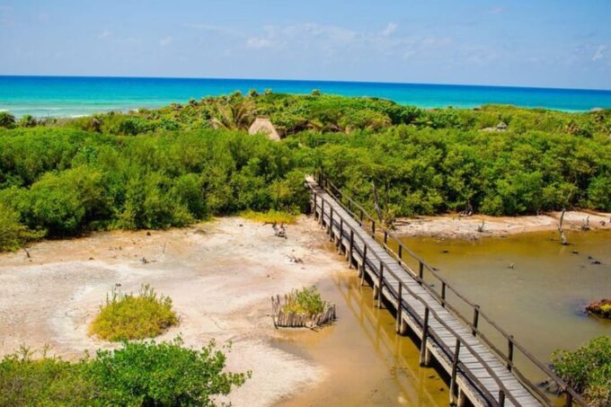 Cozumel: Private Buggy Tour to Punta Sur Park All Inclusive - Explore Punta Sur Park