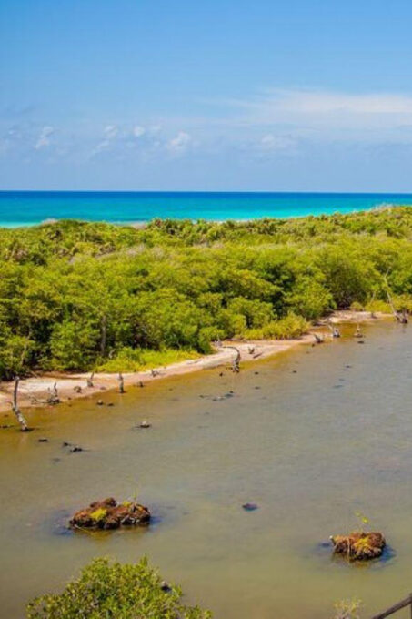 Cozumel: Private Buggy Tour to Punta Sur Park All Inclusive - Frequently Asked Questions
