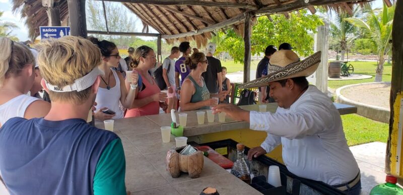 Cozumel: Private Buggy Tour With Lunch & Snorkeling - Key Points