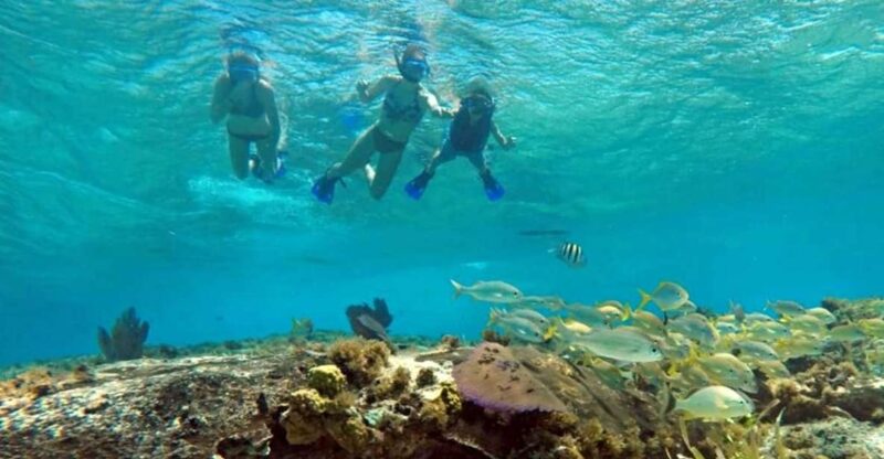 Cozumel: Private Charter Boat and Snorkel Day Trip - Activities Included