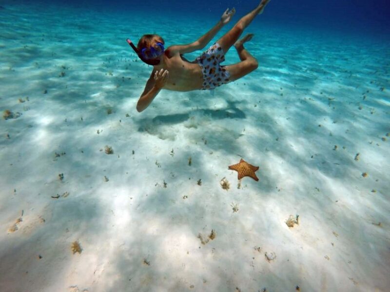 Cozumel: Private Charter Boat and Snorkel Day Trip - Customer Reviews and Feedback