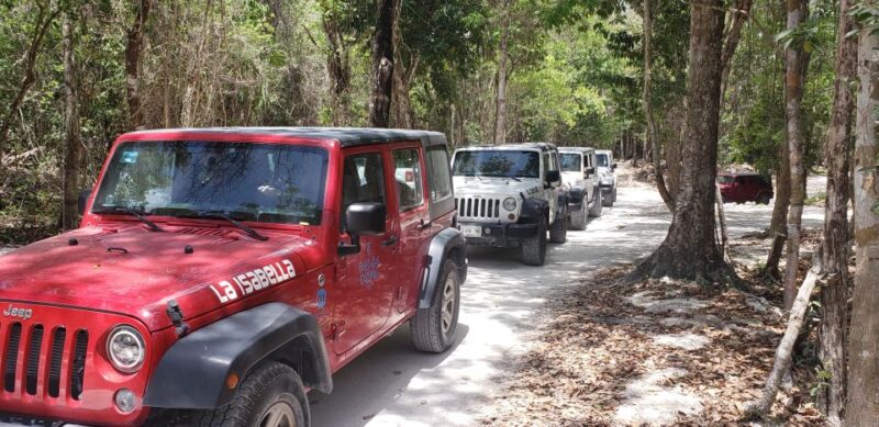 Cozumel: Private Jeep Tour Shore Excursion - Itinerary Highlights