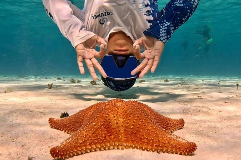 Cozumel: Private Snorkeling and Charter Experience - Pricing and Booking
