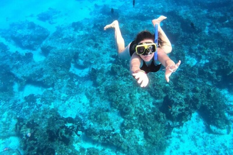 Cozumel: Private Snorkeling and Charter Experience - Snorkeling Gear and Refreshments