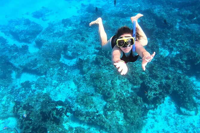 Cozumel Private Snorkeling and Charter Experience - Crew and Service