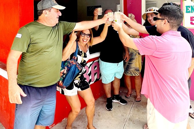 Cozumel: Private Tour by MiniVan or Jeep (Your Day, Your Way) - Mayan Bee Sanctuary