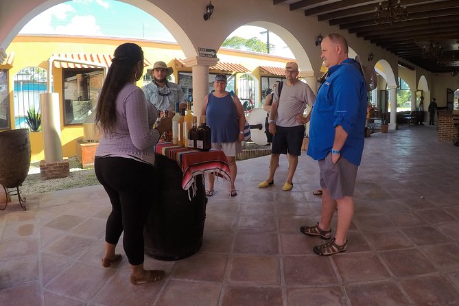Cozumel Private Van Service With Snorkel Tour - Accessibility Features