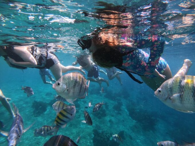 Cozumel: Private VIP Glass Bottom-Boat and Snorkeling Tour - Childrens Policy