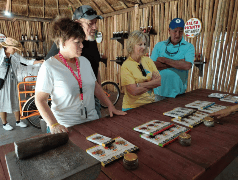 Cozumel: Punta Sur Eco Park Adventure - Experience Highlights