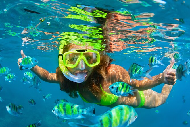 Cozumel Reef Snorkeling Tour - Snorkeling Highlights