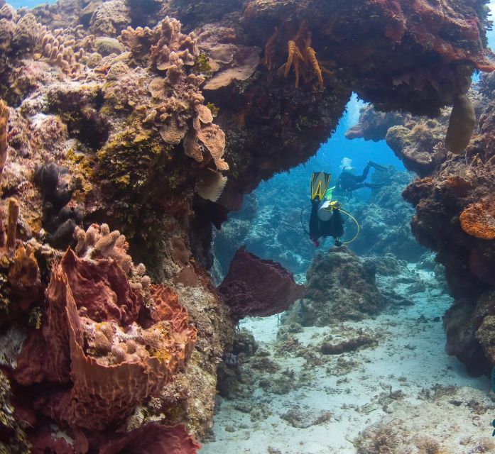 Cozumel Reefs Two Dives From the Boat - Key Points
