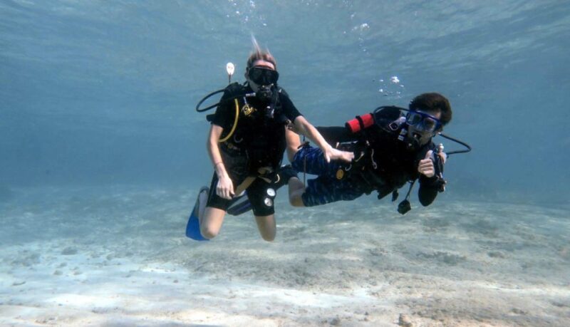 Cozumel Reefs Two Dives From the Boat - What to Bring
