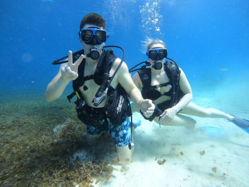Cozumel: Scuba Dive at Chankanaab Marine Park - Pricing and Reservations