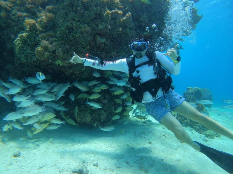 Cozumel: Scuba Dive at Chankanaab Marine Park - Participant Restrictions and Recommendations