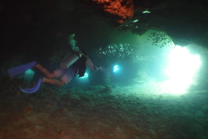 Cozumel: Scuba Dive at Chankanaab Marine Park - Frequently Asked Questions