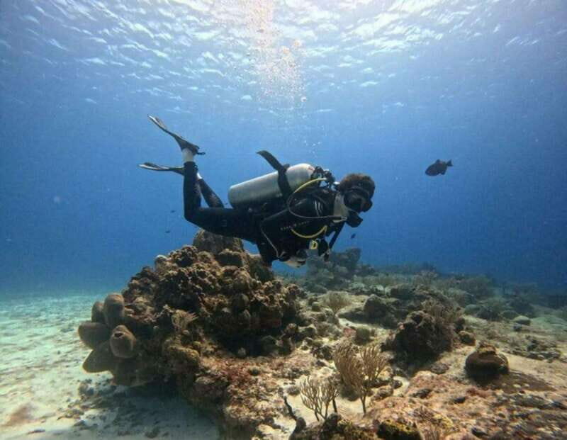 Cozumel Scuba Diving: 2 Tanks in the National Park for certified divers - What Sets This Tour Apart?