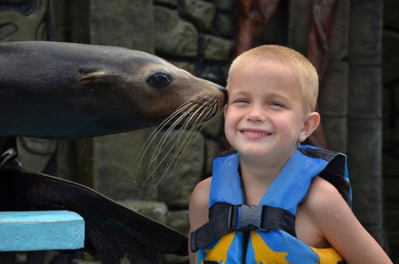Cozumel: Sea Lion Program at Chankanaab Beach Adventure Park - Key Points