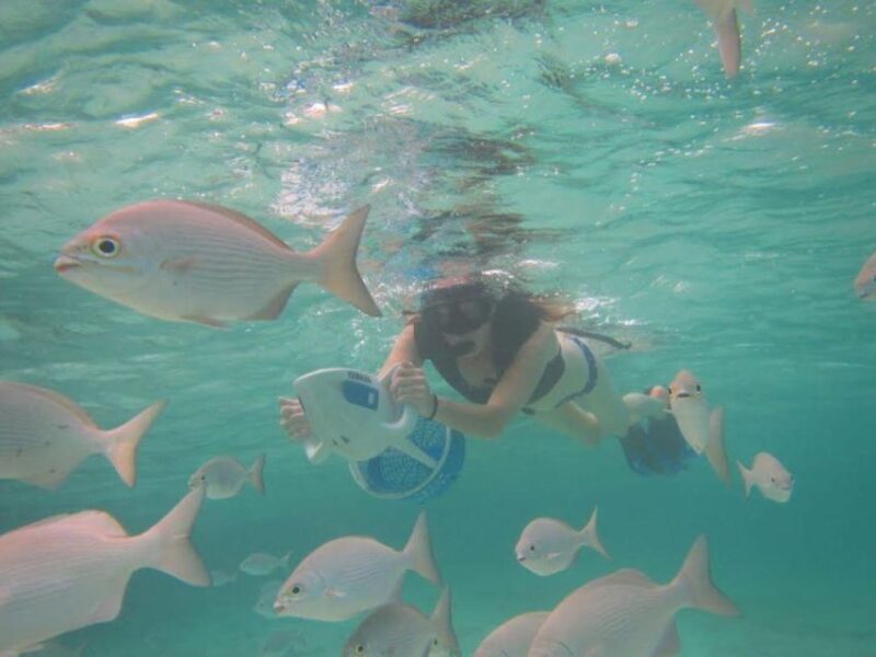 Cozumel: Sea Scooter Snorkel Tour - Key Points