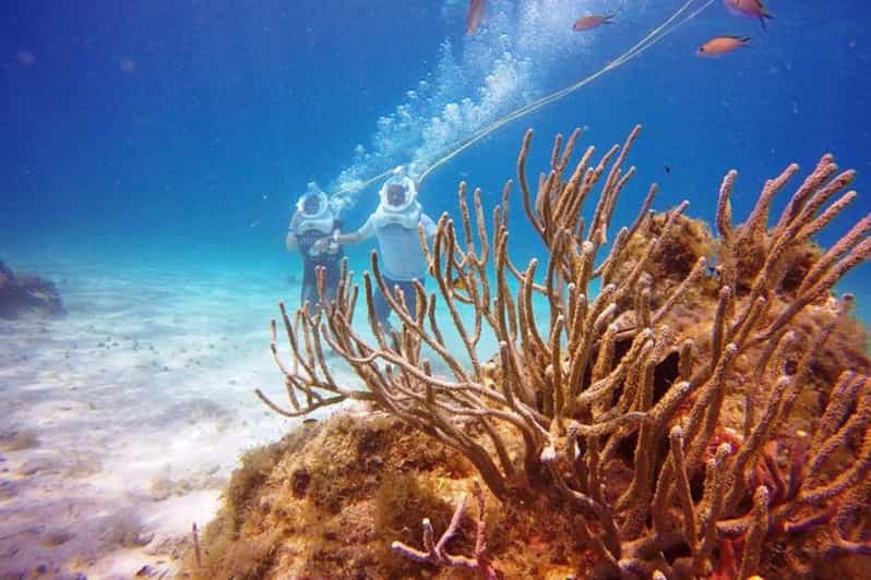 Cozumel: Sea Trek Adventure at Chankanaab National Park - Experience Highlights