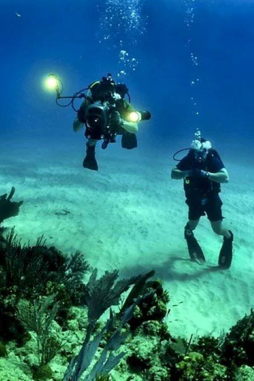 Cozumel: Shipwreck and Reef Dive With Lunch - Key Points