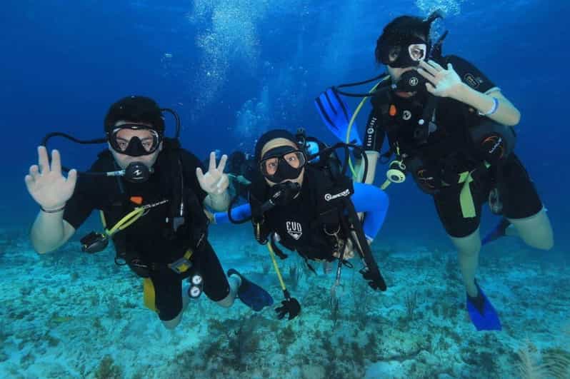 Cozumel: Shipwreck and Reef Dive With Lunch - Exploring the C-55 Shipwreck