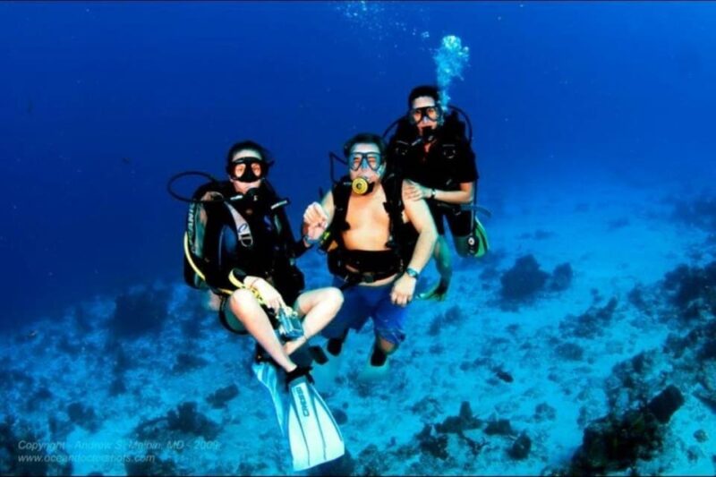 Cozumel: Shipwreck and Reef Dive With Lunch - Important Considerations