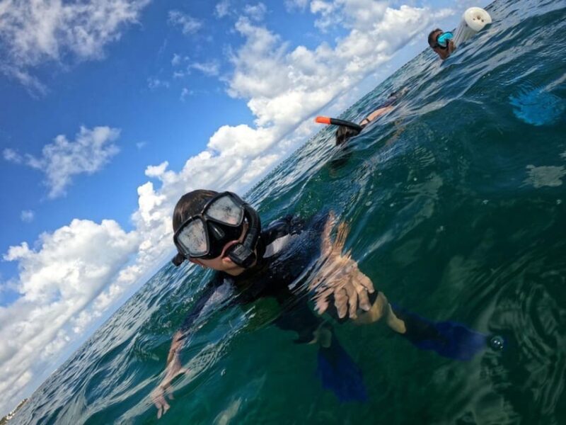 Cozumel: Shipwreck and Reef Dive With Lunch - Group Size and Languages
