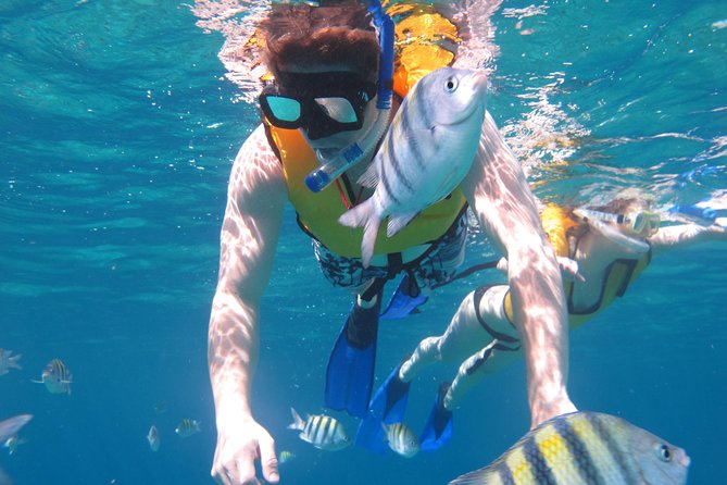 Cozumel Shore Excursion: Playa Uvas Private Beach Pass - Guest Experiences