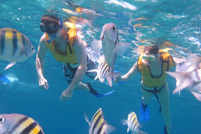 Cozumel Shore Excursion: Playa Uvas Private Beach Pass - Cancellation Policy