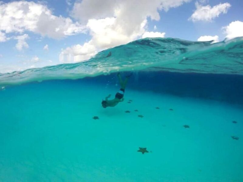 Cozumel: Shore Snorkel & Taco Workshop Experience - Snorkeling Safety and Instructions