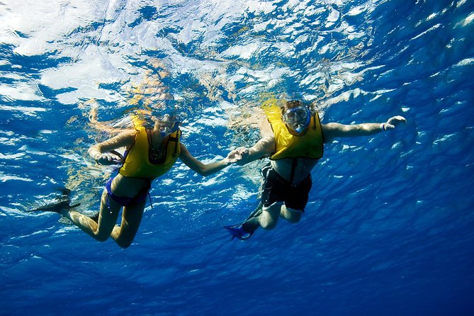 Cozumel & Snorkel Day Trip From Cancun - Inclusions and Pricing