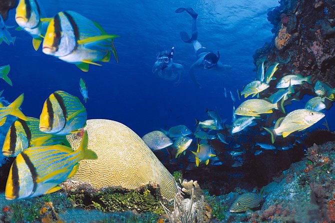 Cozumel & Snorkel Day Trip From Cancun - Transportation and Departure