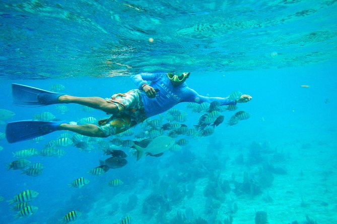 Cozumel & Snorkel Day Trip From Cancun - Cozumel Island Exploration