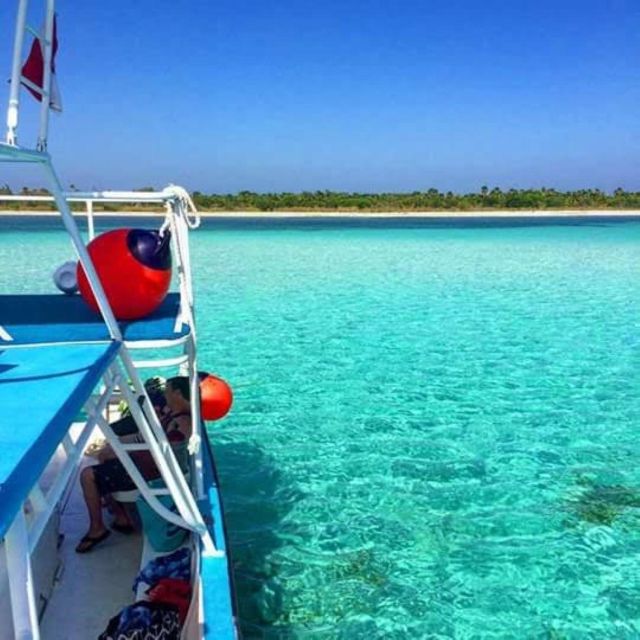 Cozumel: Snorkel El Cielo Tour - Key Points
