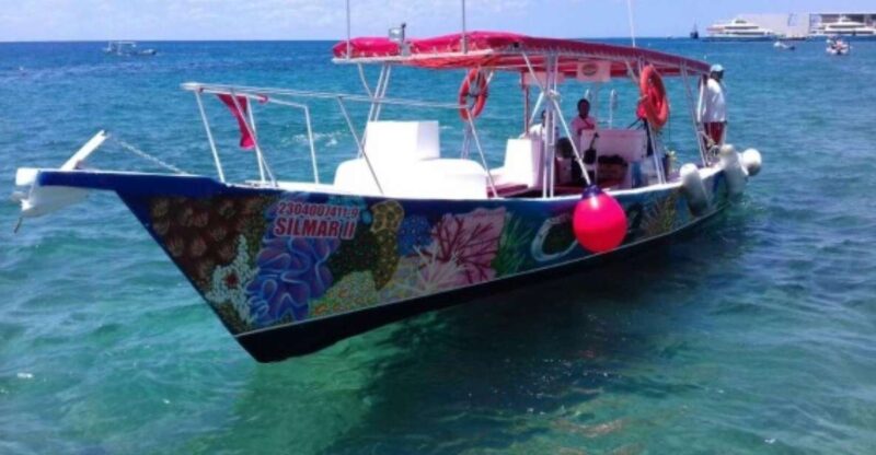 Cozumel: Snorkel El Cielo Tour - Experience Highlights