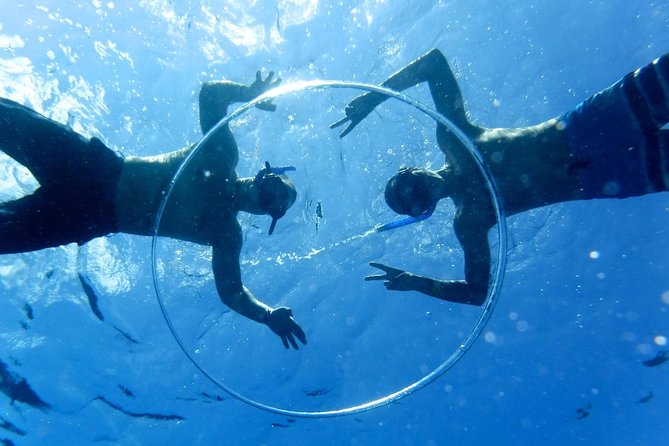 Cozumel Snorkel Tour: Coral Reefs, El Cielo & Beach Break® - Itinerary and Inclusions