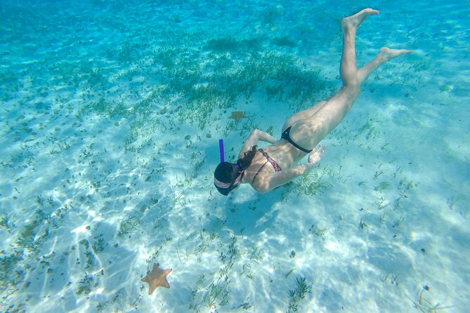 Cozumel Snorkel Tour: Coral Reefs, El Cielo & Beach Break® - Meeting and Departure Information