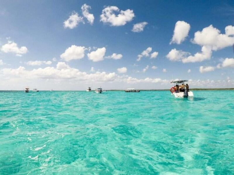 Cozumel: Snorkel Tour to El Cielo, Palancar, and Colombia - Colombia Reef Highlights