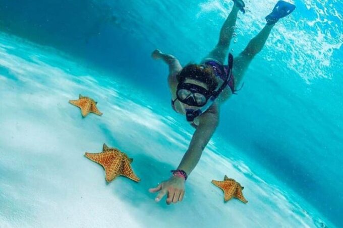 Cozumel: Snorkel Tour to El Cielo, Palancar, and Colombia - Booking Information