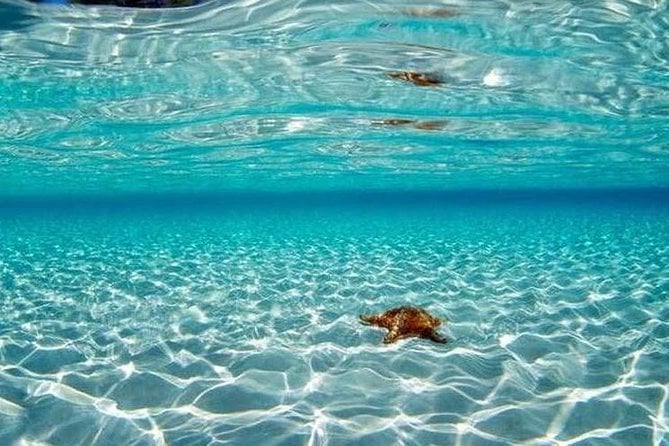 Cozumel Snorkeling Adventure Full Day Tour - Conservation Fee