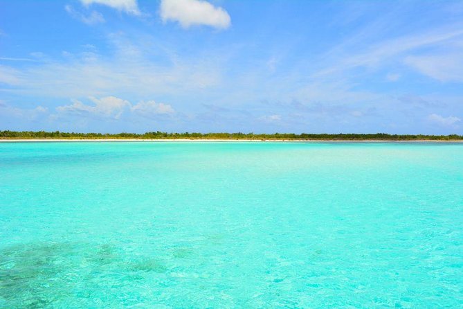 Cozumel Snorkeling Adventure Full Day Tour - Accessibility and Health Considerations