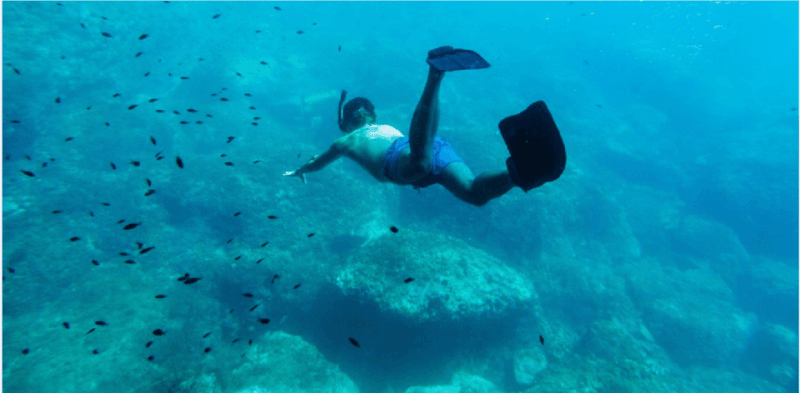 Cozumel: Snorkeling Adventure - Group Size and Language Support